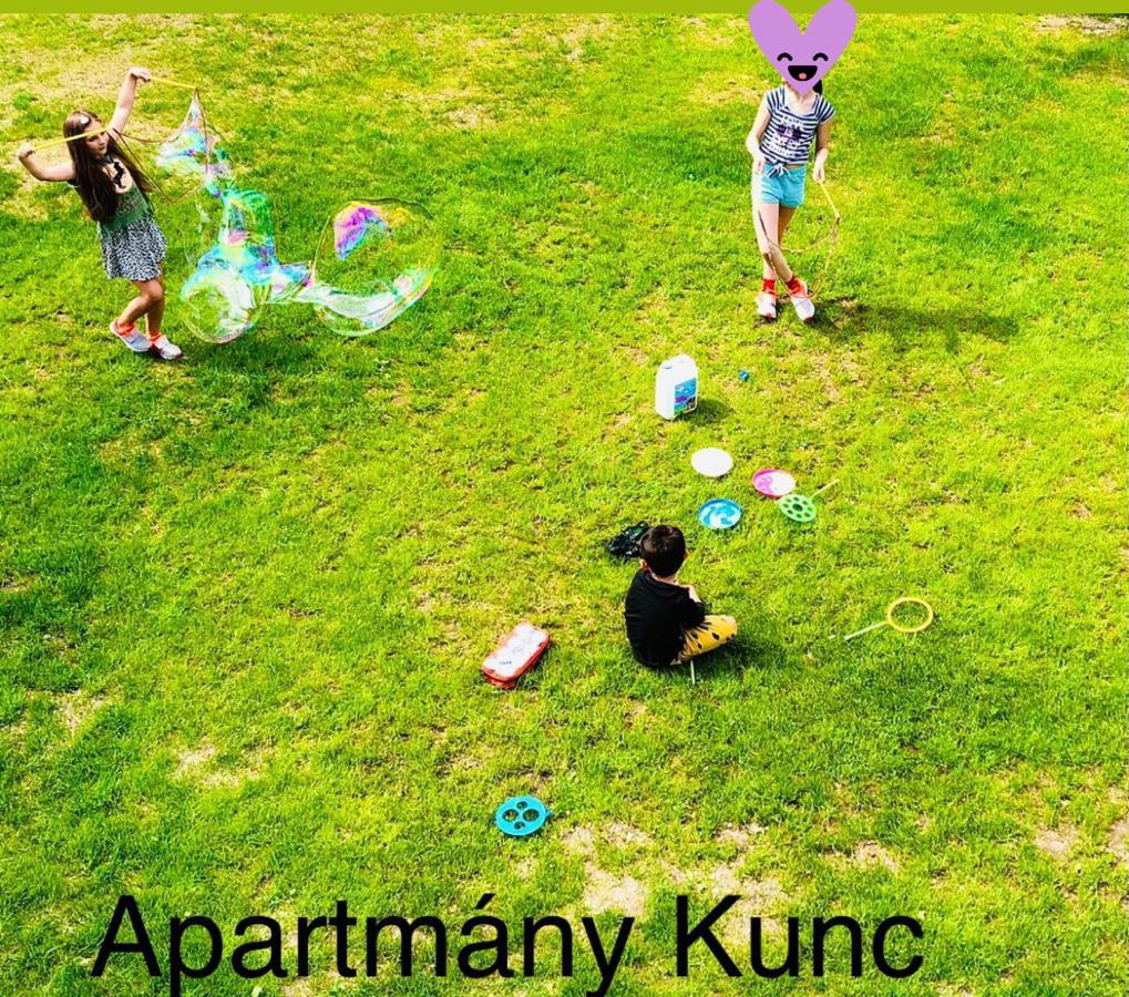 Apartmany Kunc Bedřichov Eksteriør billede