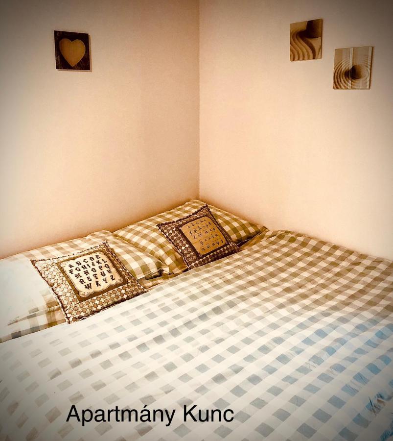 Apartmany Kunc Bedřichov Eksteriør billede